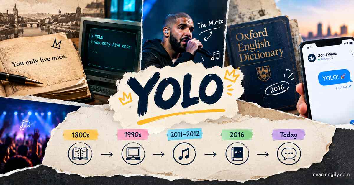Origin of YOLO